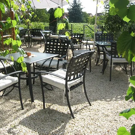 Landhotel Kallstadt 3* Kallstadt