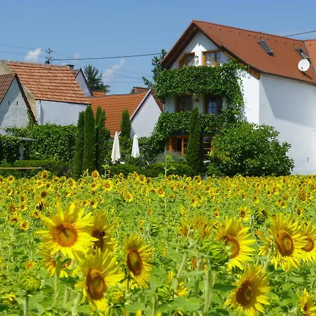 Hotel Landhotel Kallstadt Kallstadt