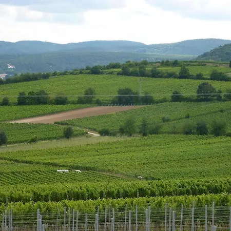 Hotel Landhotel Kallstadt 3*