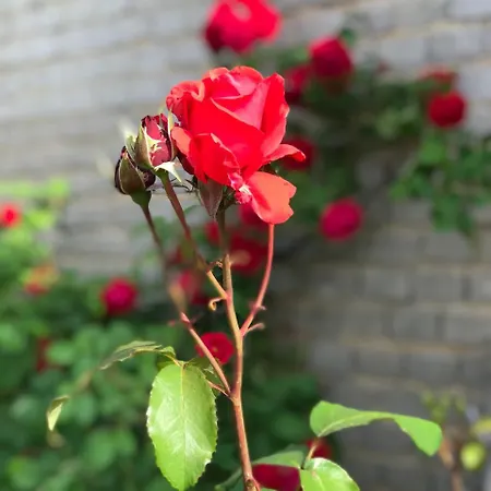 Hotel Landhotel Kallstadt 3*