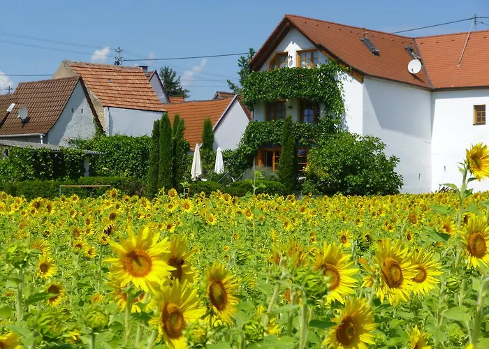 מלון Landhotel Kallstadt קלשטאדט