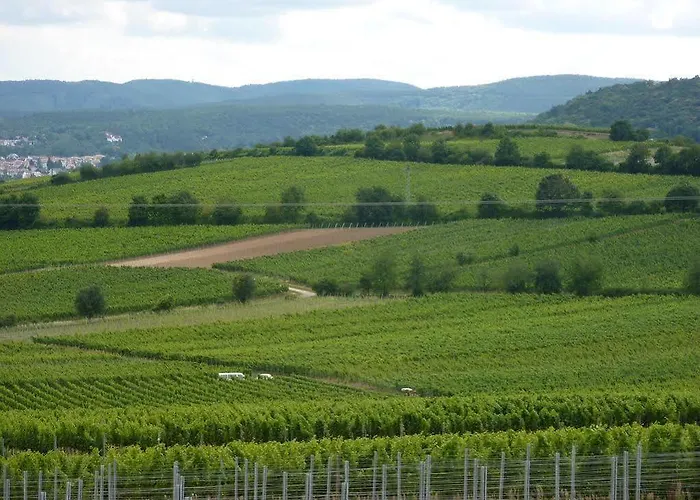 Hotel Landhotel Kallstadt 3*