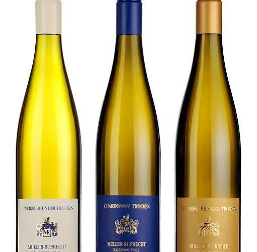 Landhotel Kallstadt 3* קלשטאדט